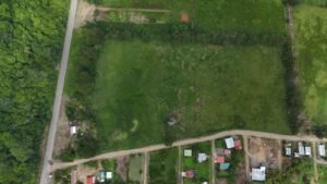 Foto 21-5-24, 1 48 56 p. m.